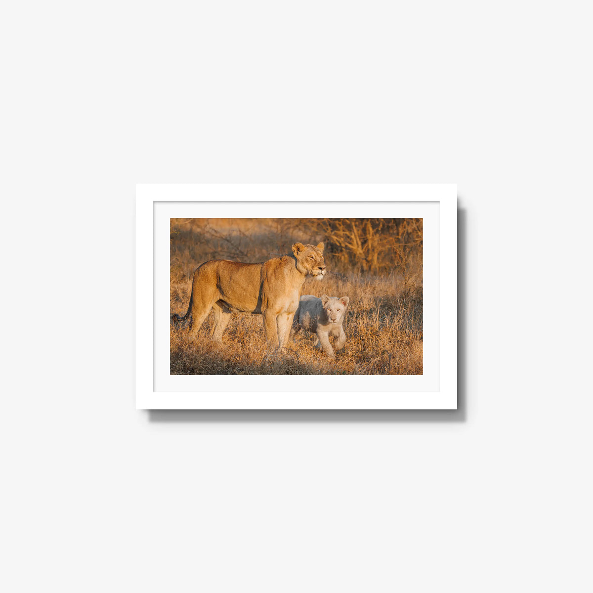 Ivory Heir — small / white / mat