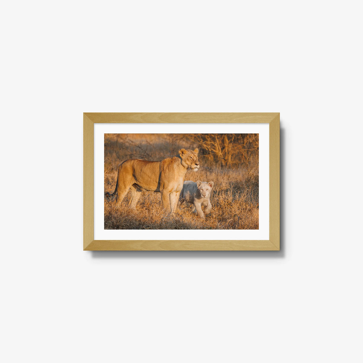 Ivory Heir — small / natural / mat
