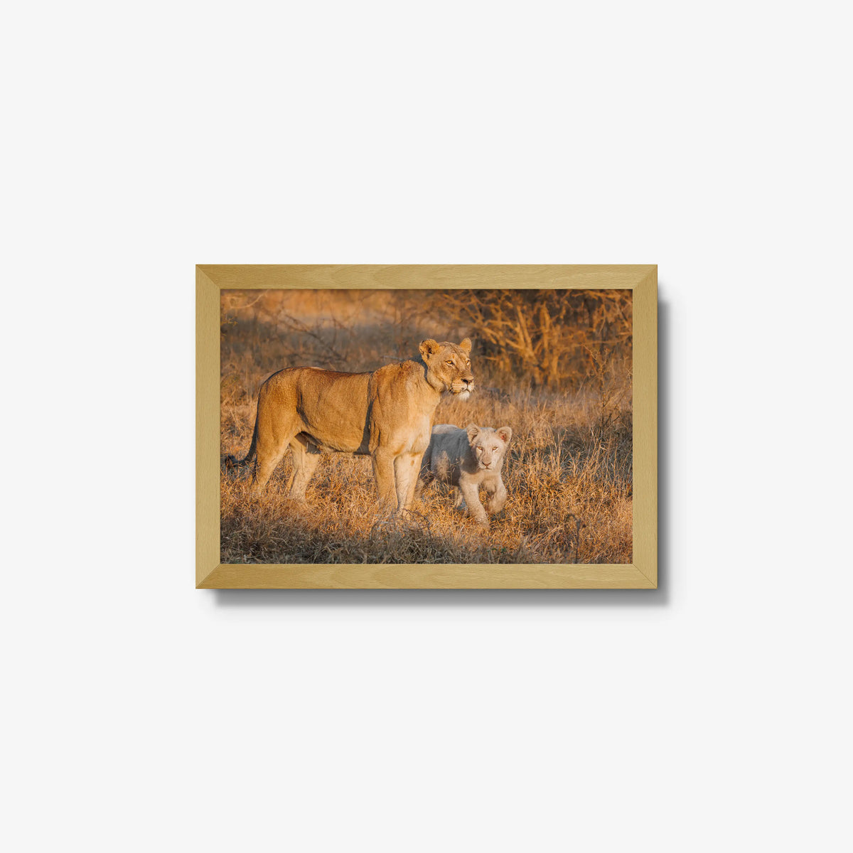 Ivory Heir — small / natural / full