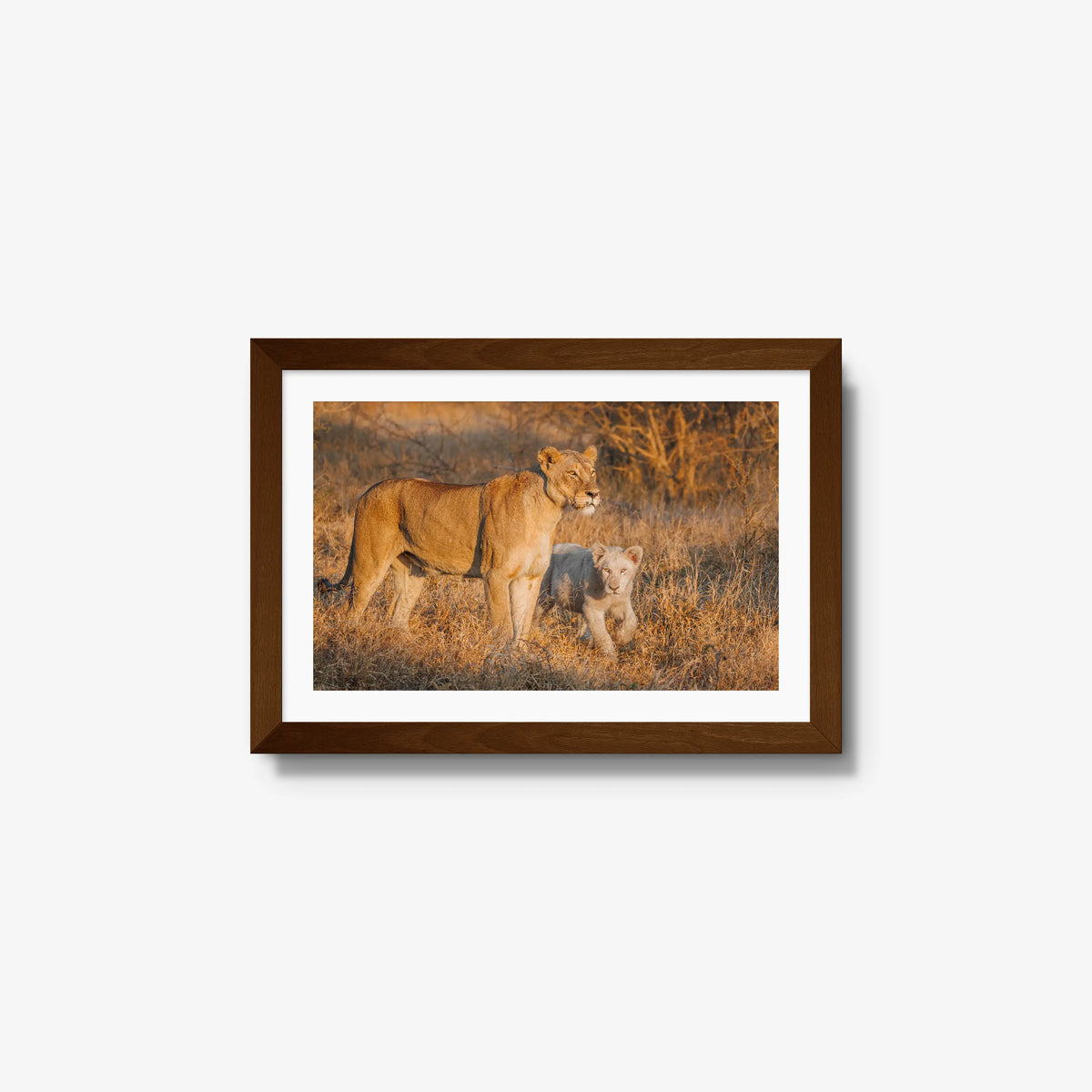 Ivory Heir — small / brown / mat
