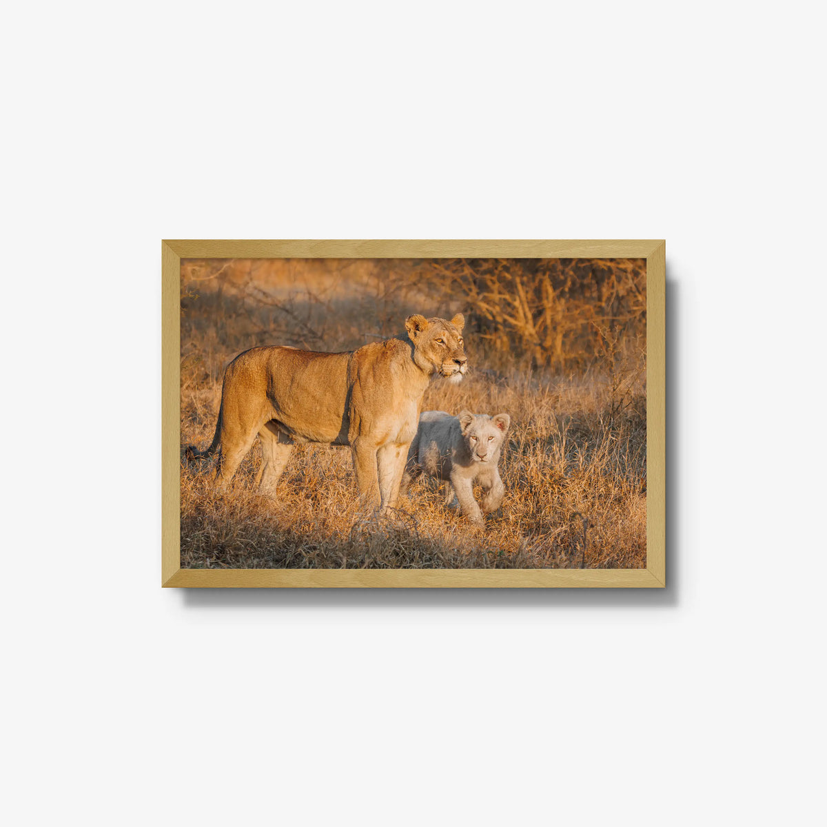 Ivory Heir — medium / natural / full