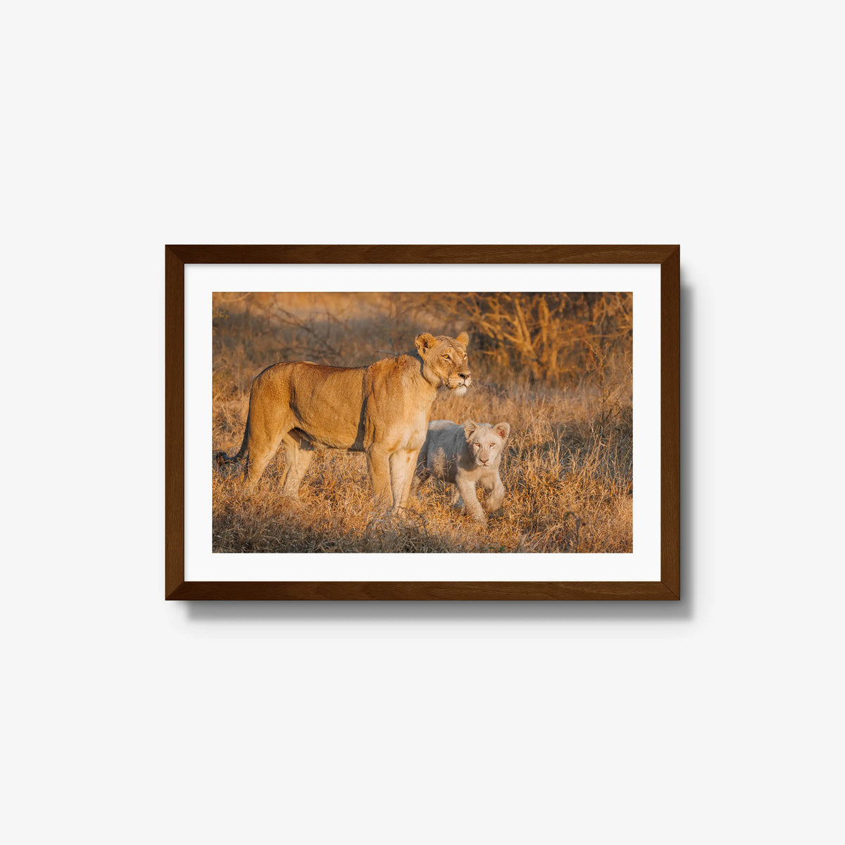 Ivory Heir — medium / brown / mat