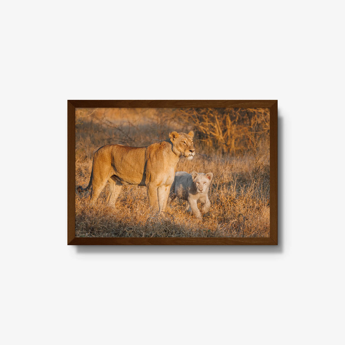 Ivory Heir — medium / brown / full