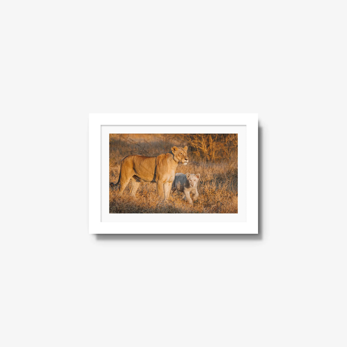 Ivory Heir — mini / white / mat