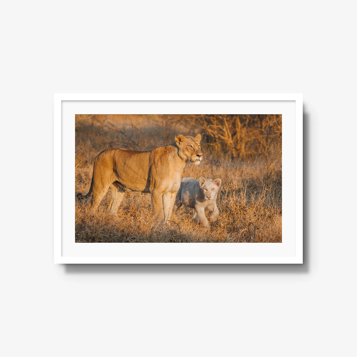 Ivory Heir — large / white / mat