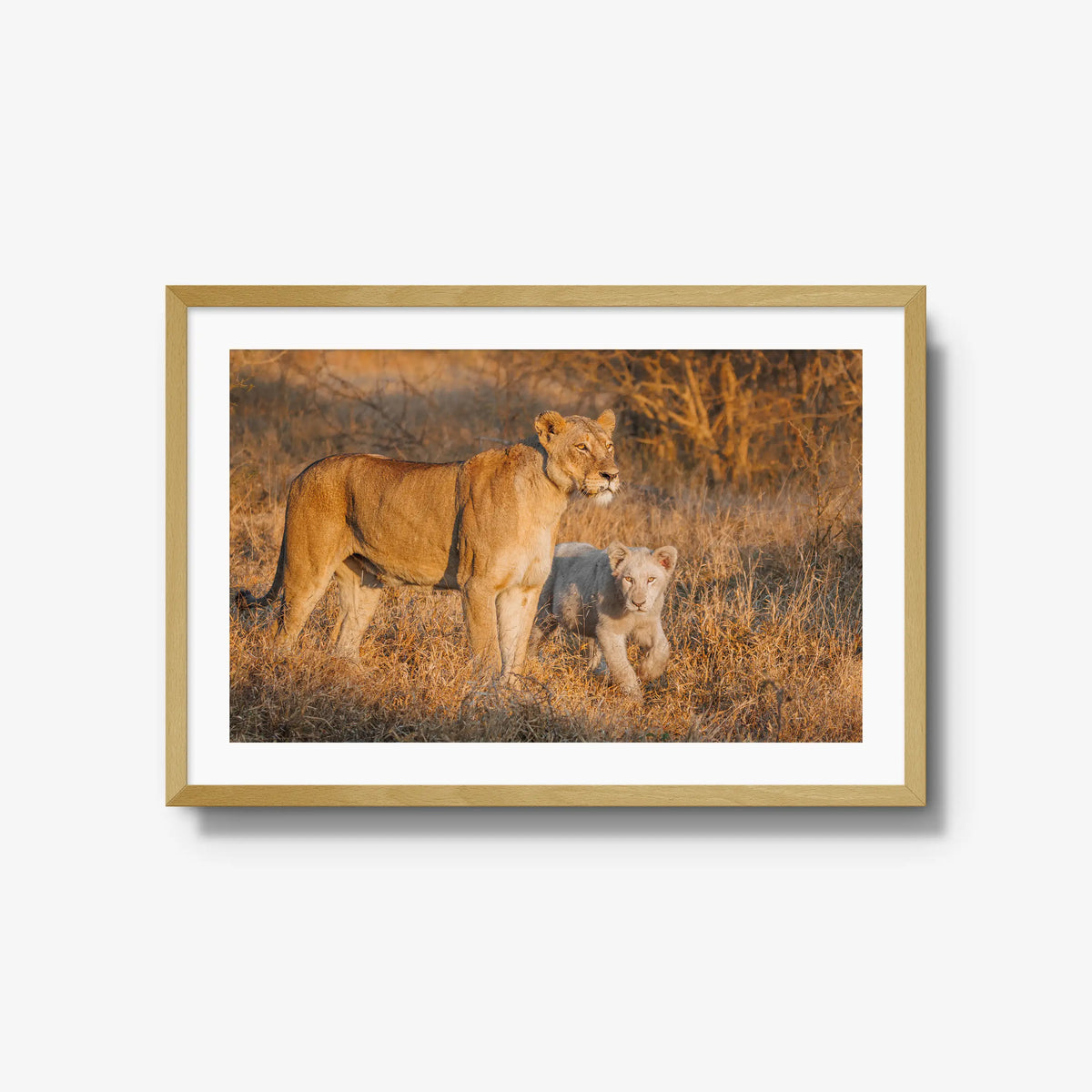 Ivory Heir — large / natural / mat