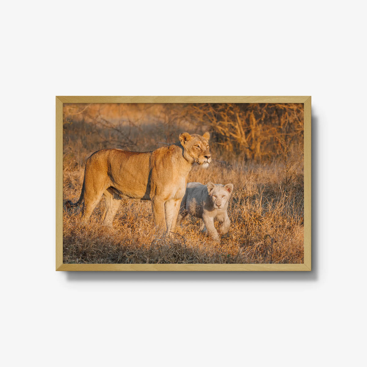 Ivory Heir — large / natural / full