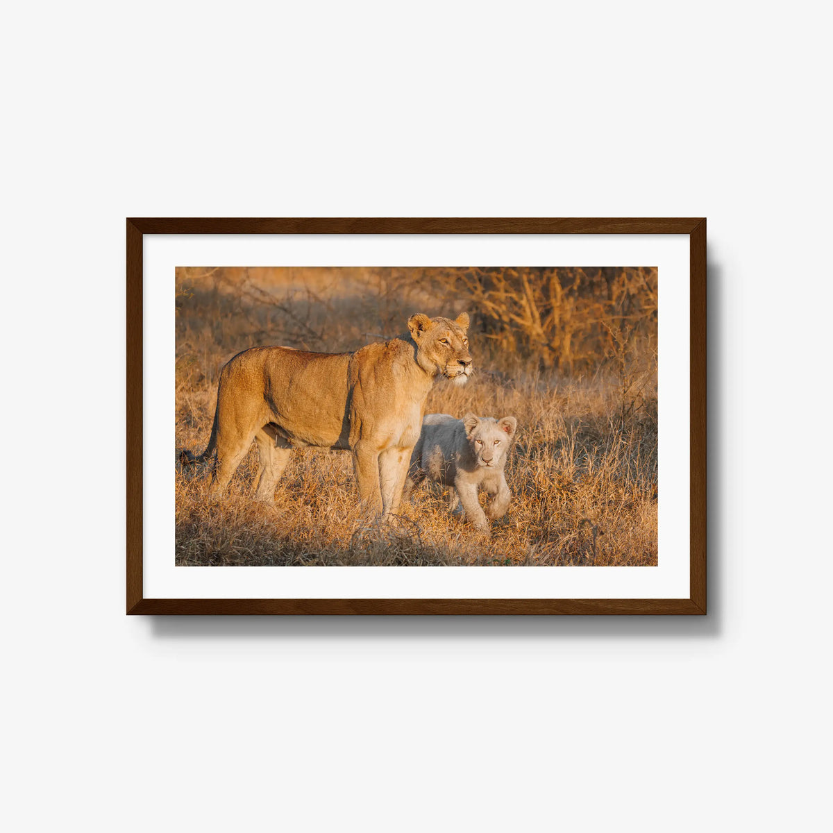Ivory Heir — large / brown / mat