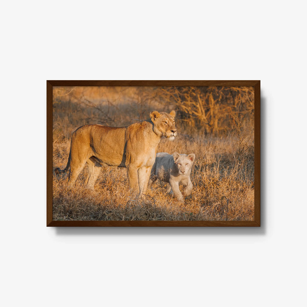 Ivory Heir — large / brown / full