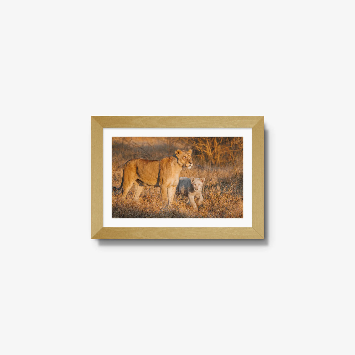 Ivory Heir — mini / natural / mat