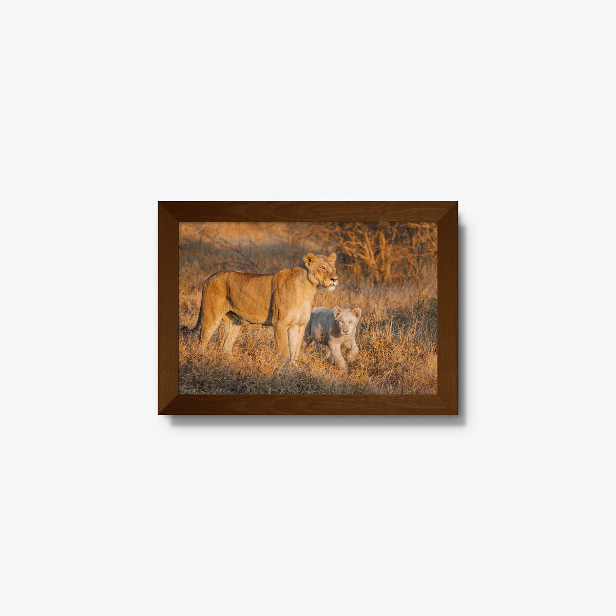 Ivory Heir — mini / brown / full