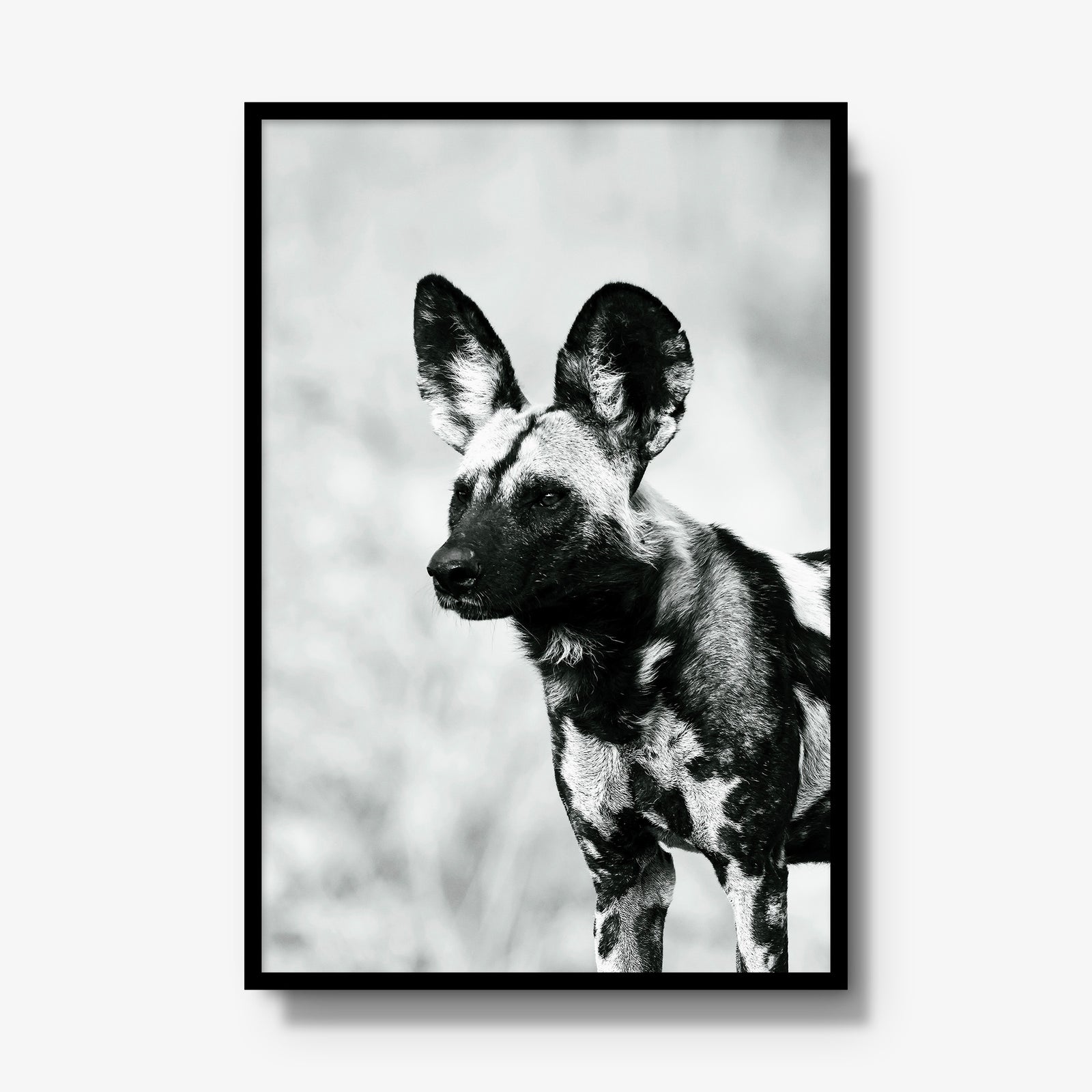 A Painted Dog