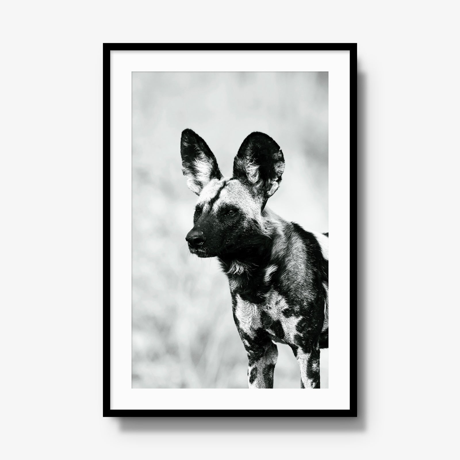A Painted Dog