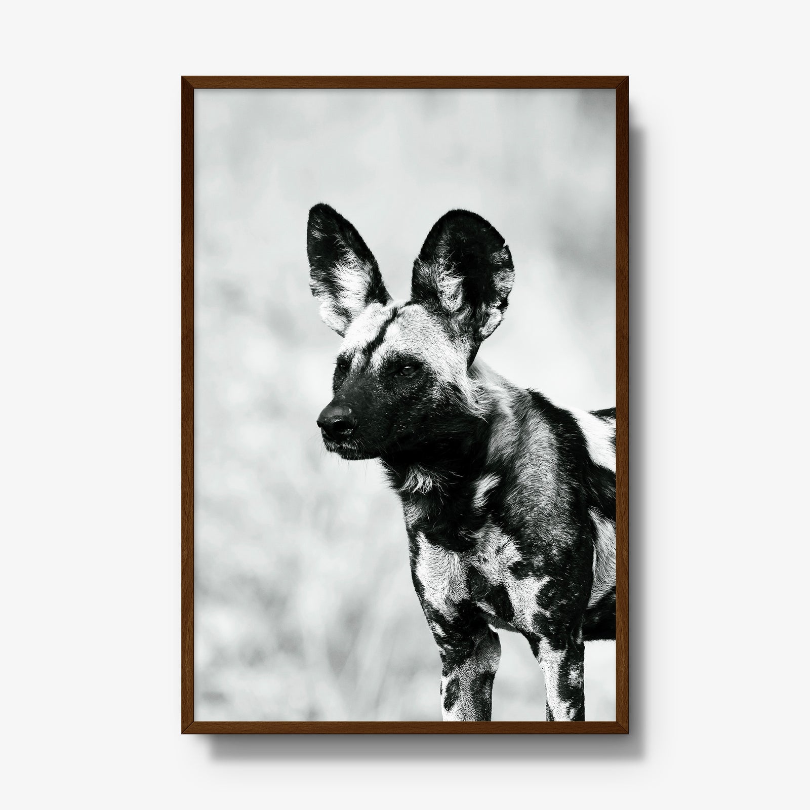 A Painted Dog