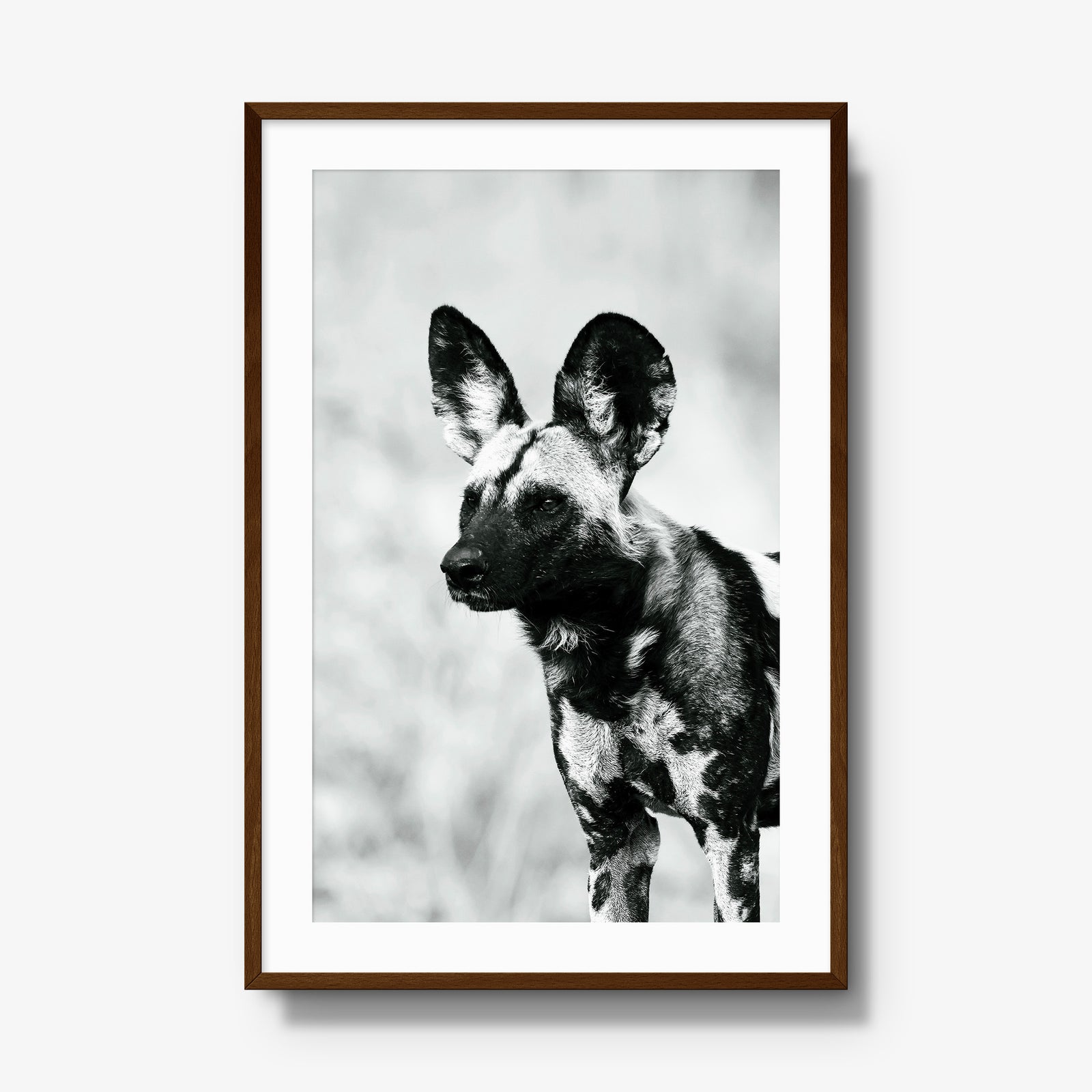 A Painted Dog
