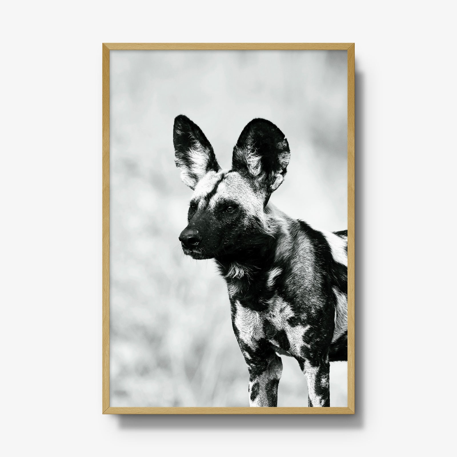 A Painted Dog