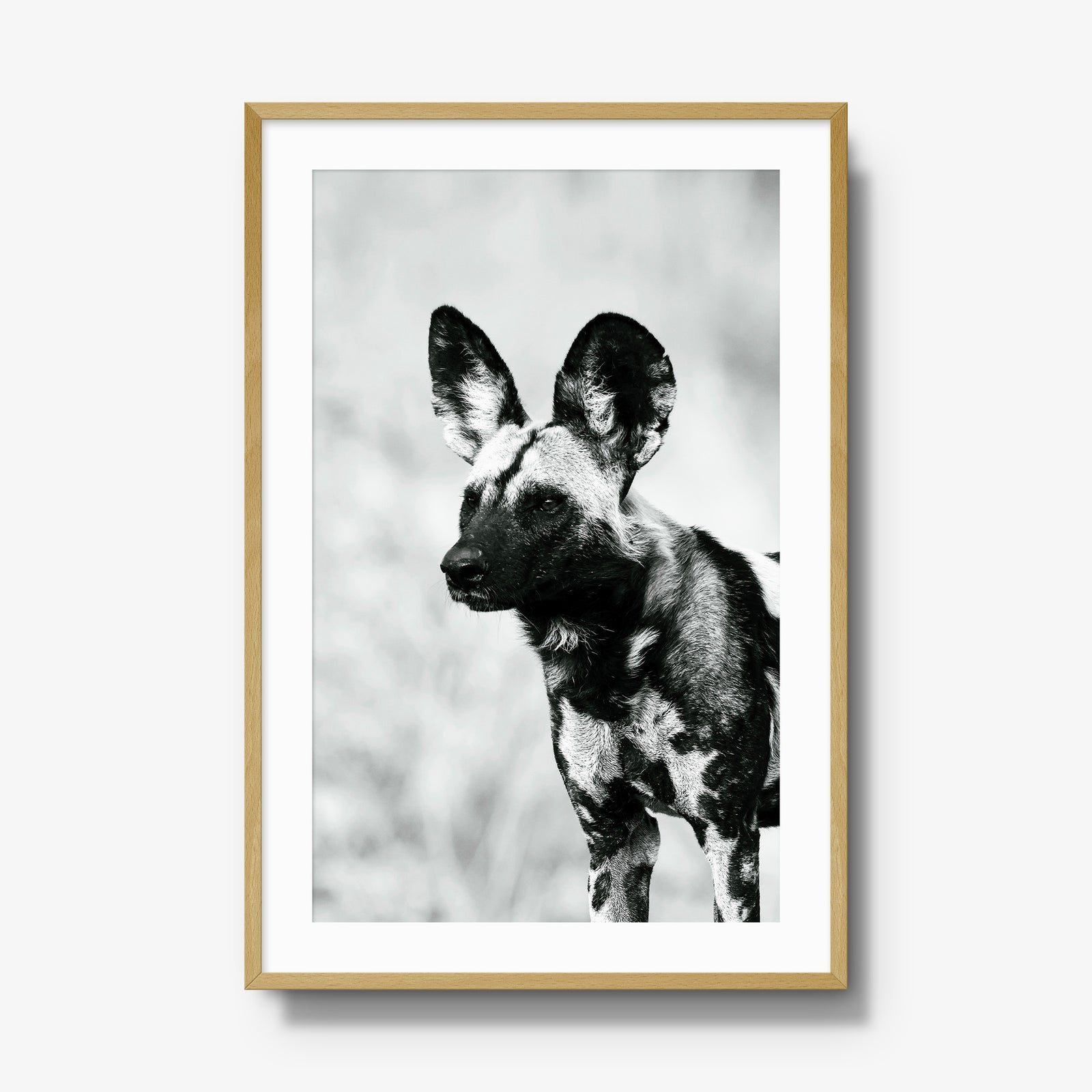 A Painted Dog