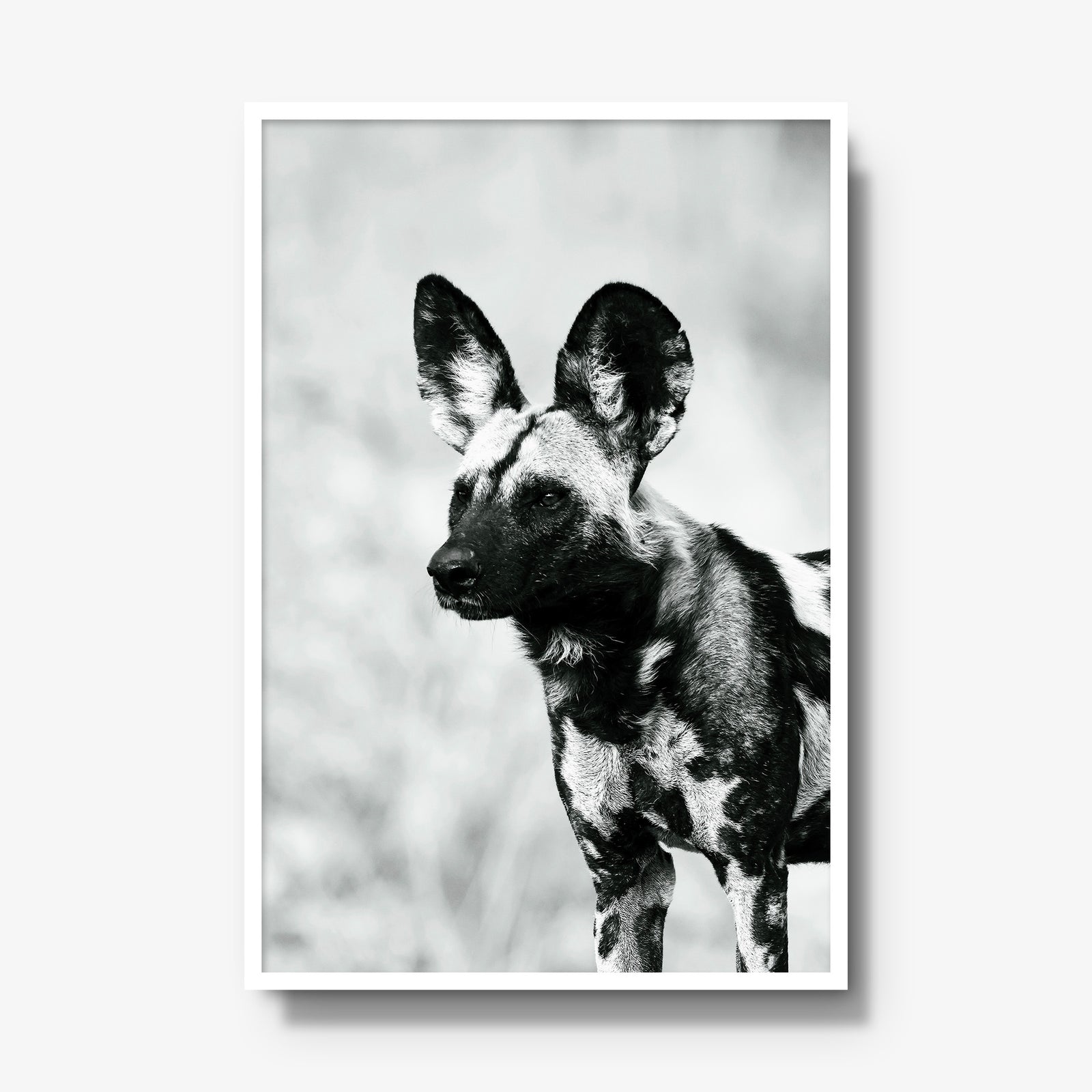 A Painted Dog