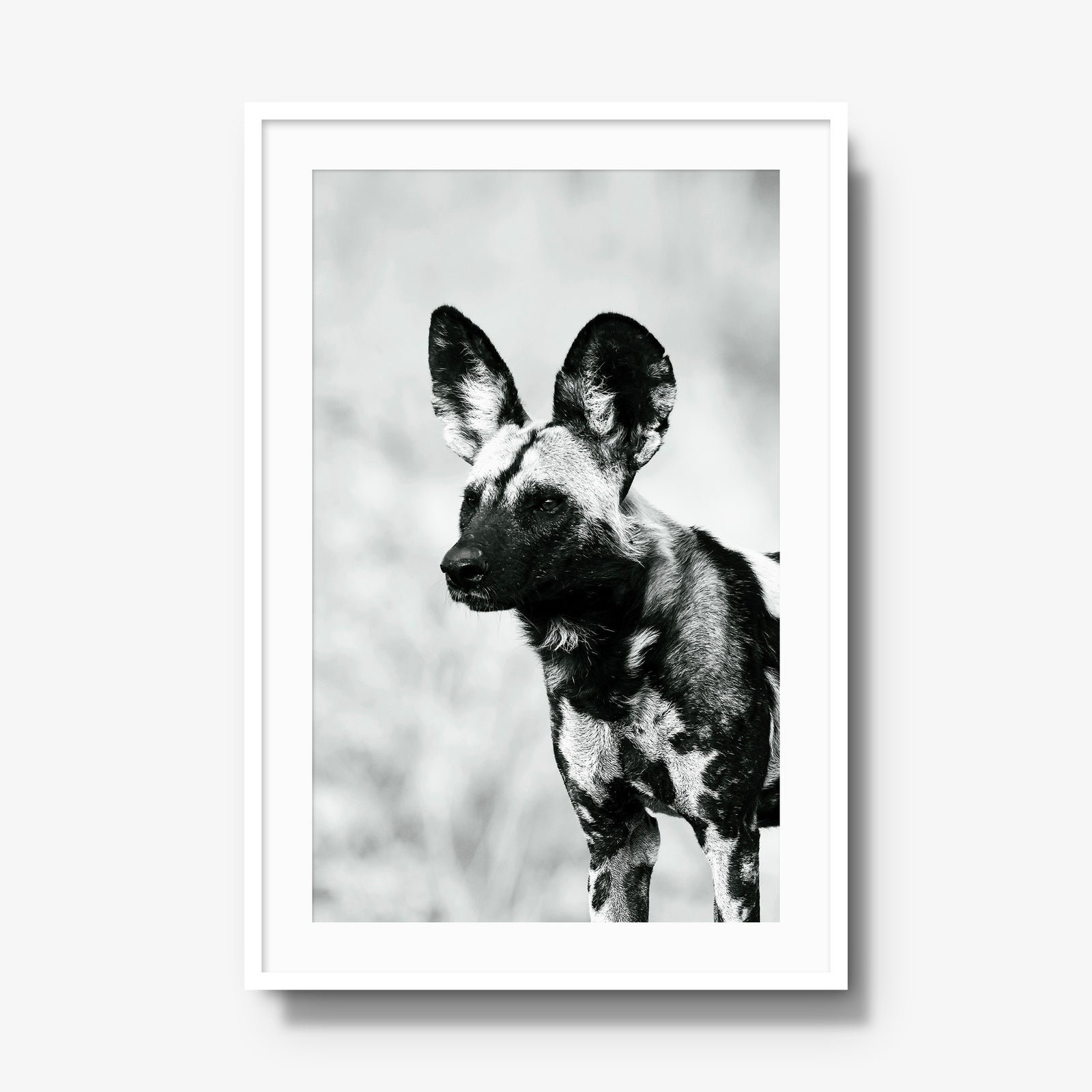 A Painted Dog