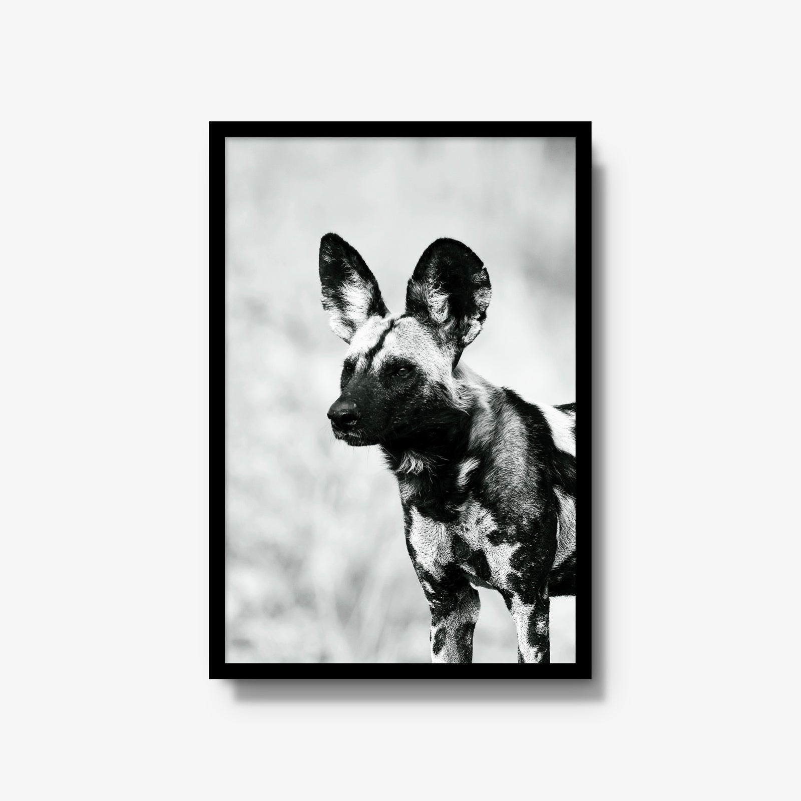 A Painted Dog