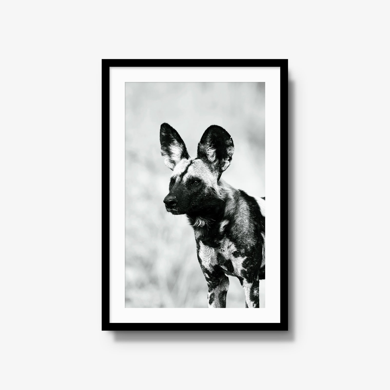 A Painted Dog