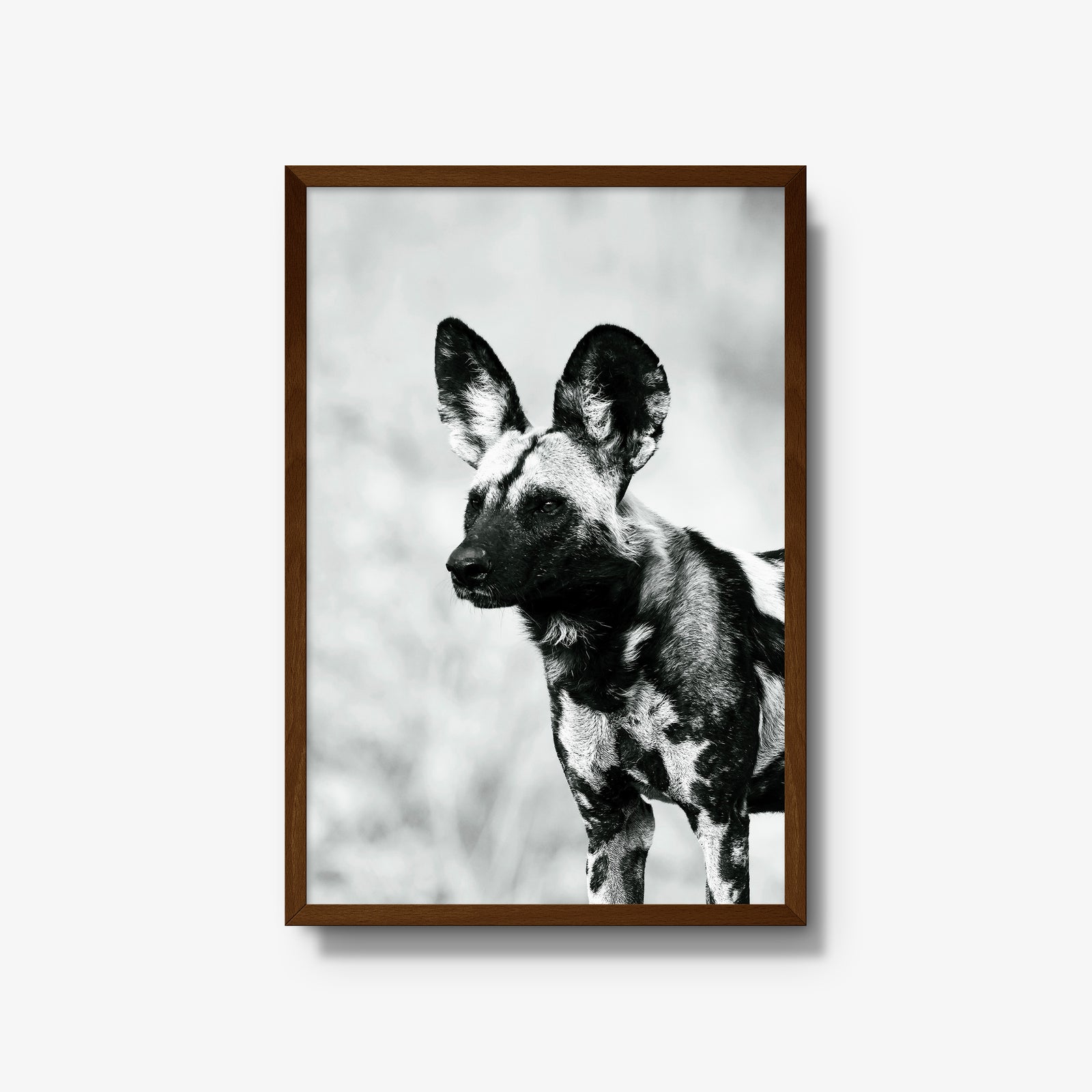 A Painted Dog