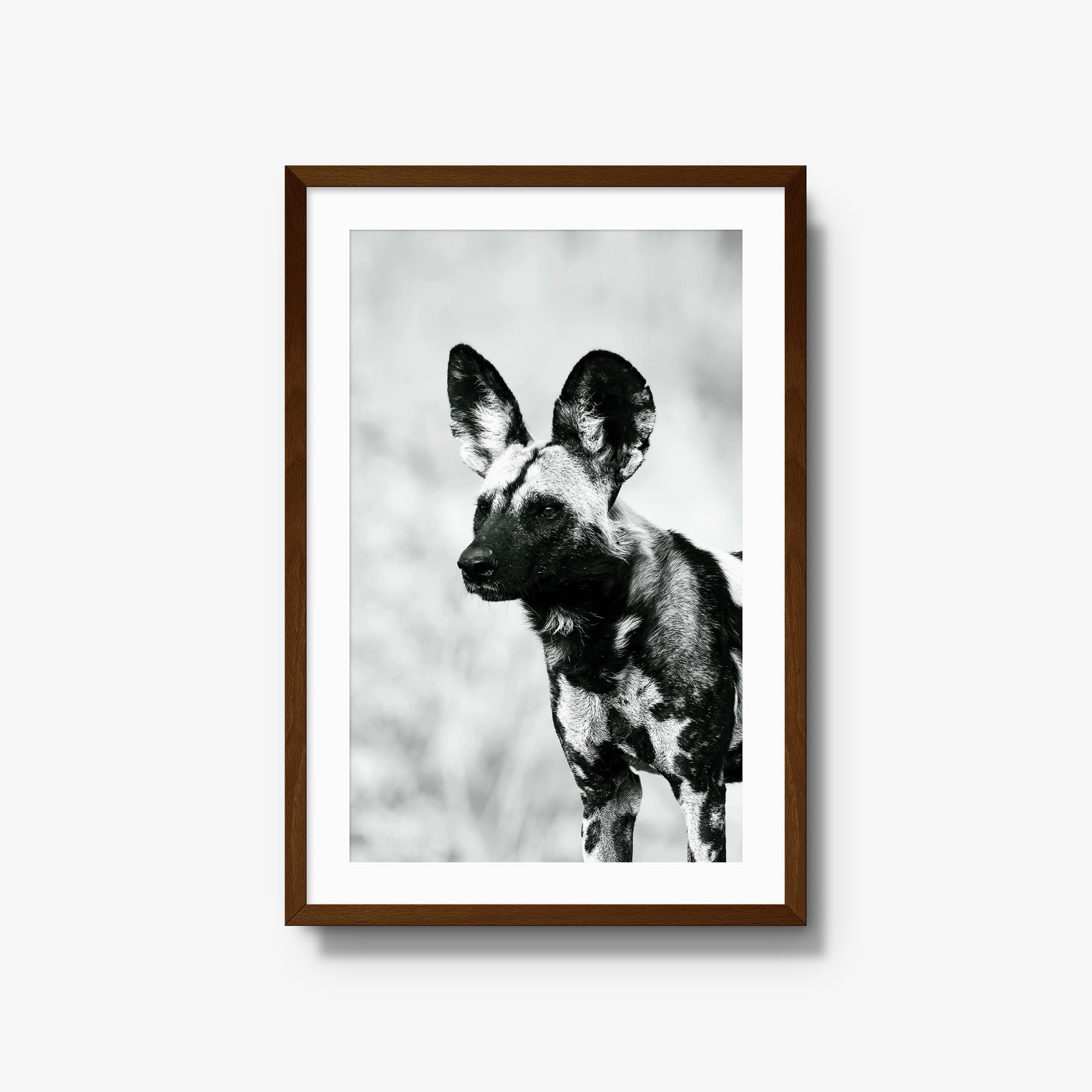 A Painted Dog