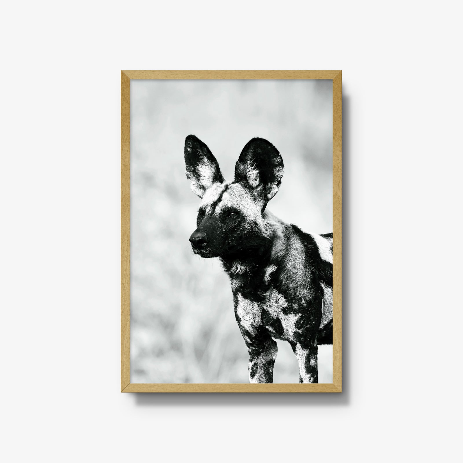 A Painted Dog