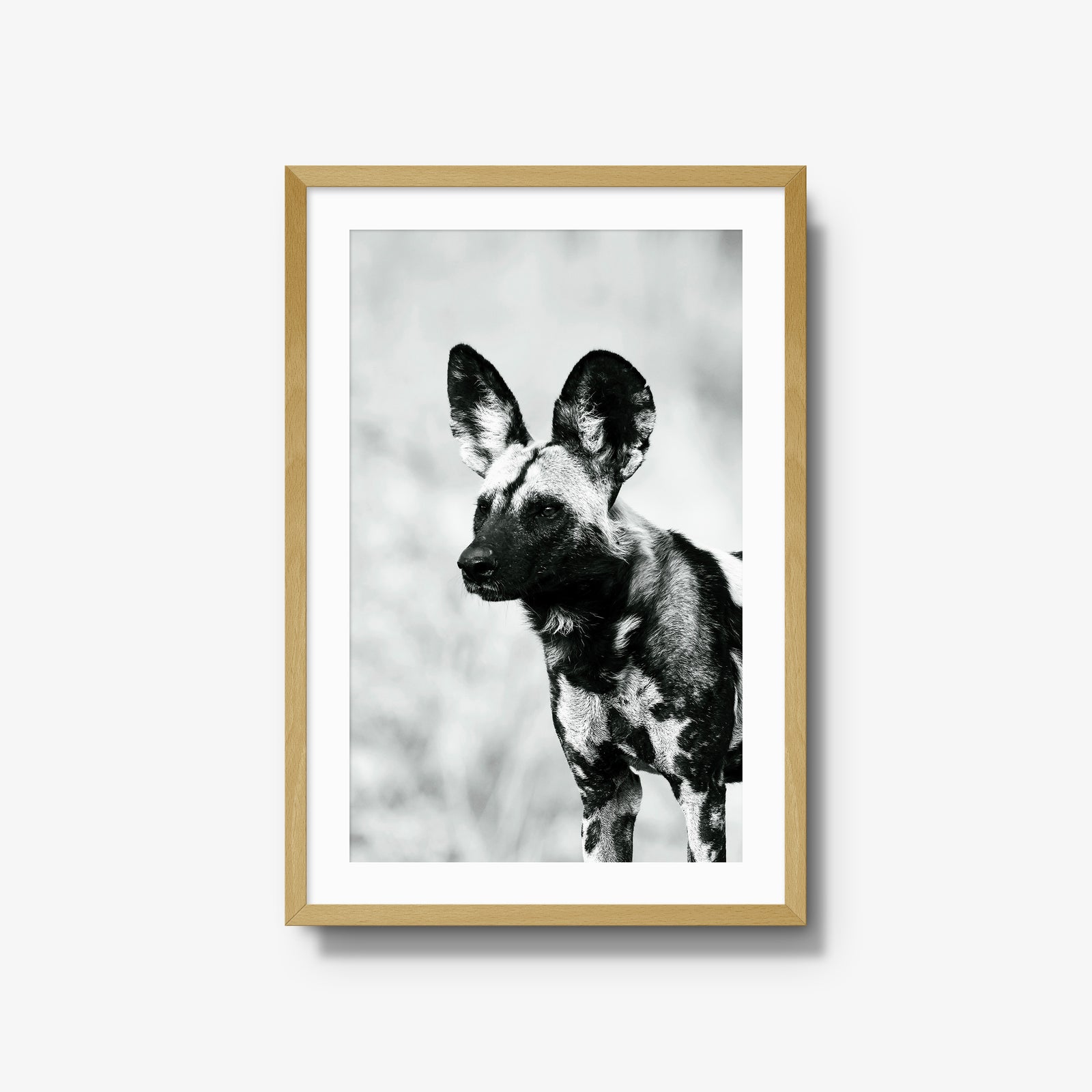 A Painted Dog