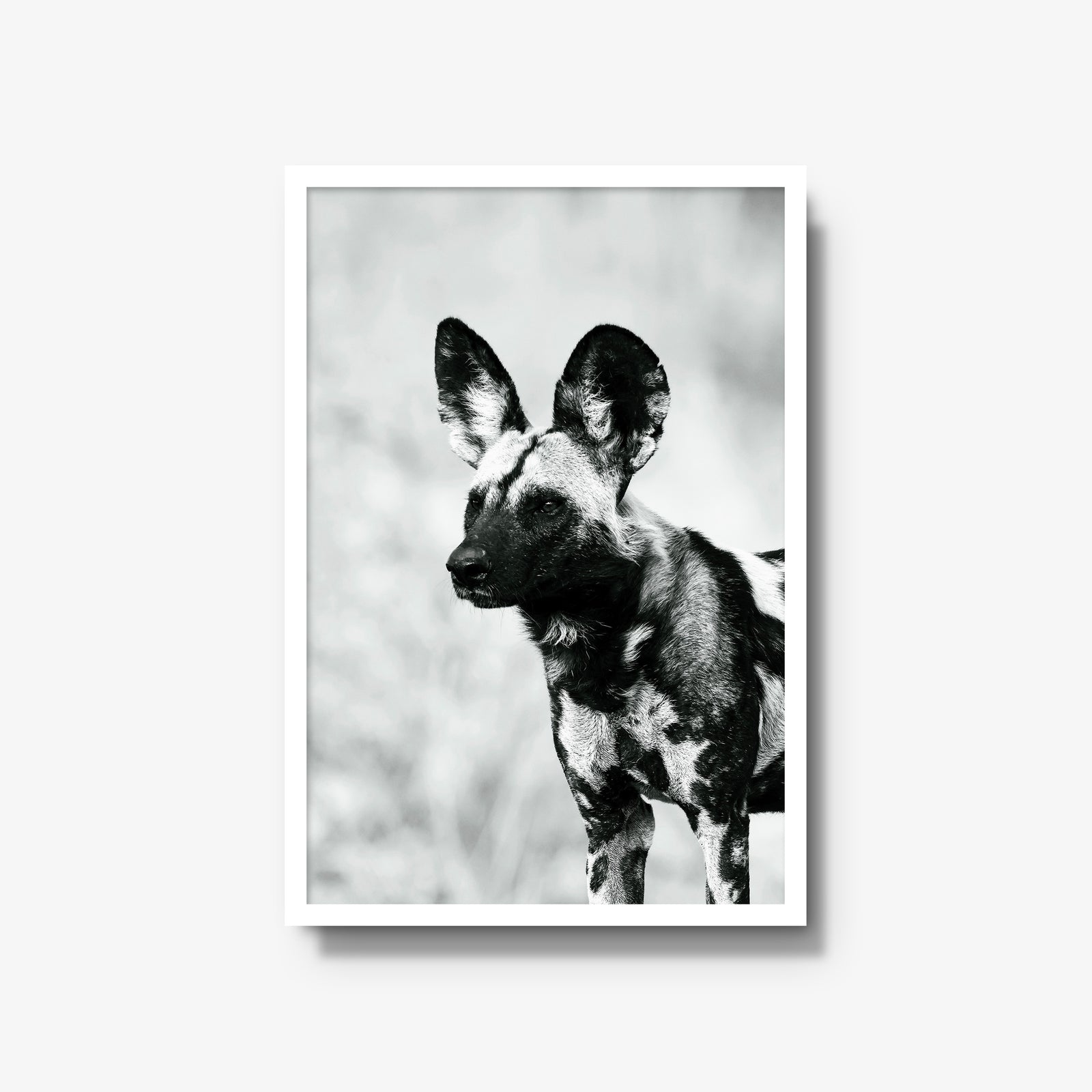 A Painted Dog