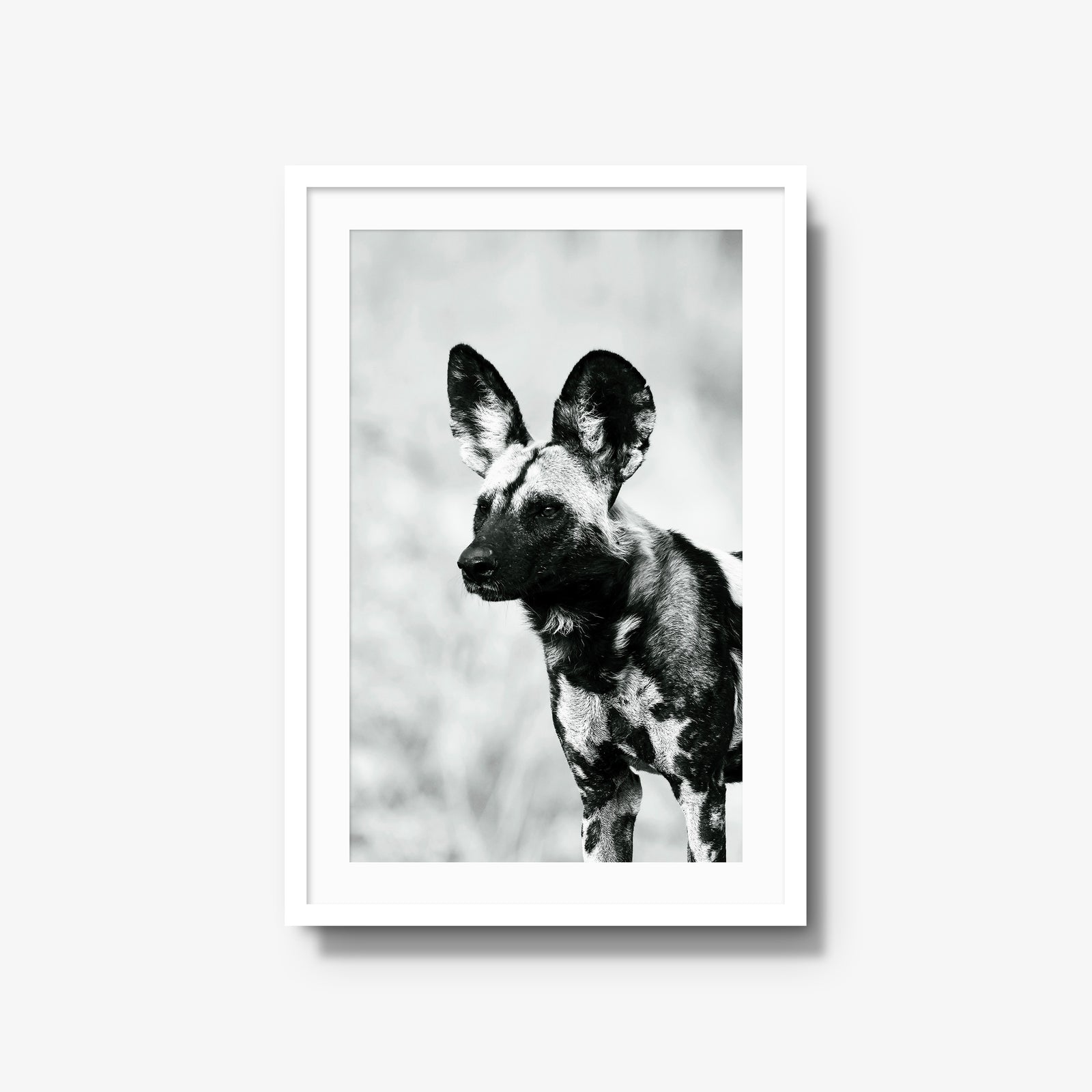 A Painted Dog