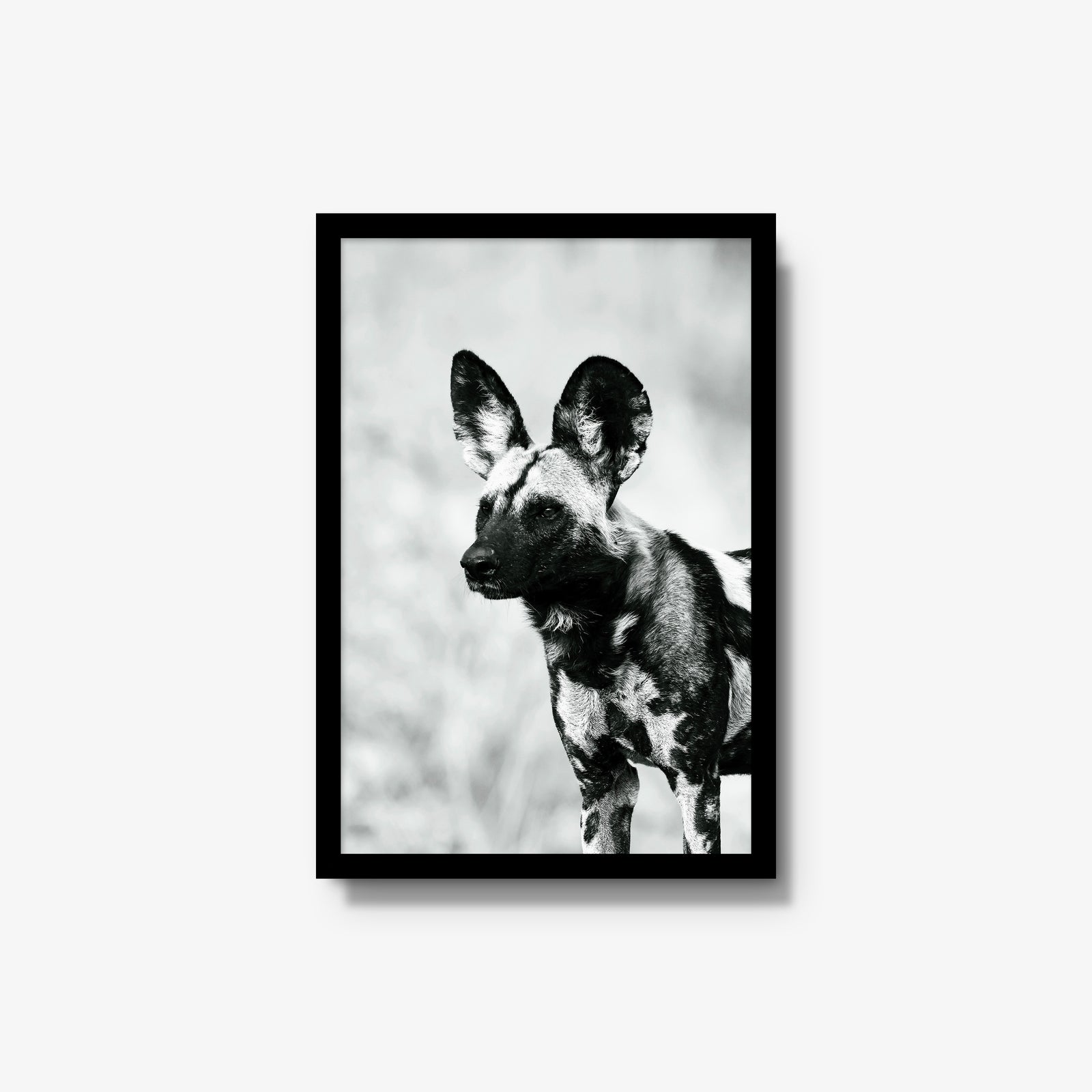 A Painted Dog
