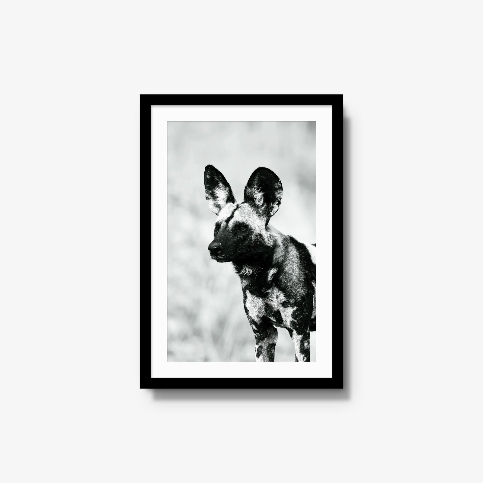 A Painted Dog