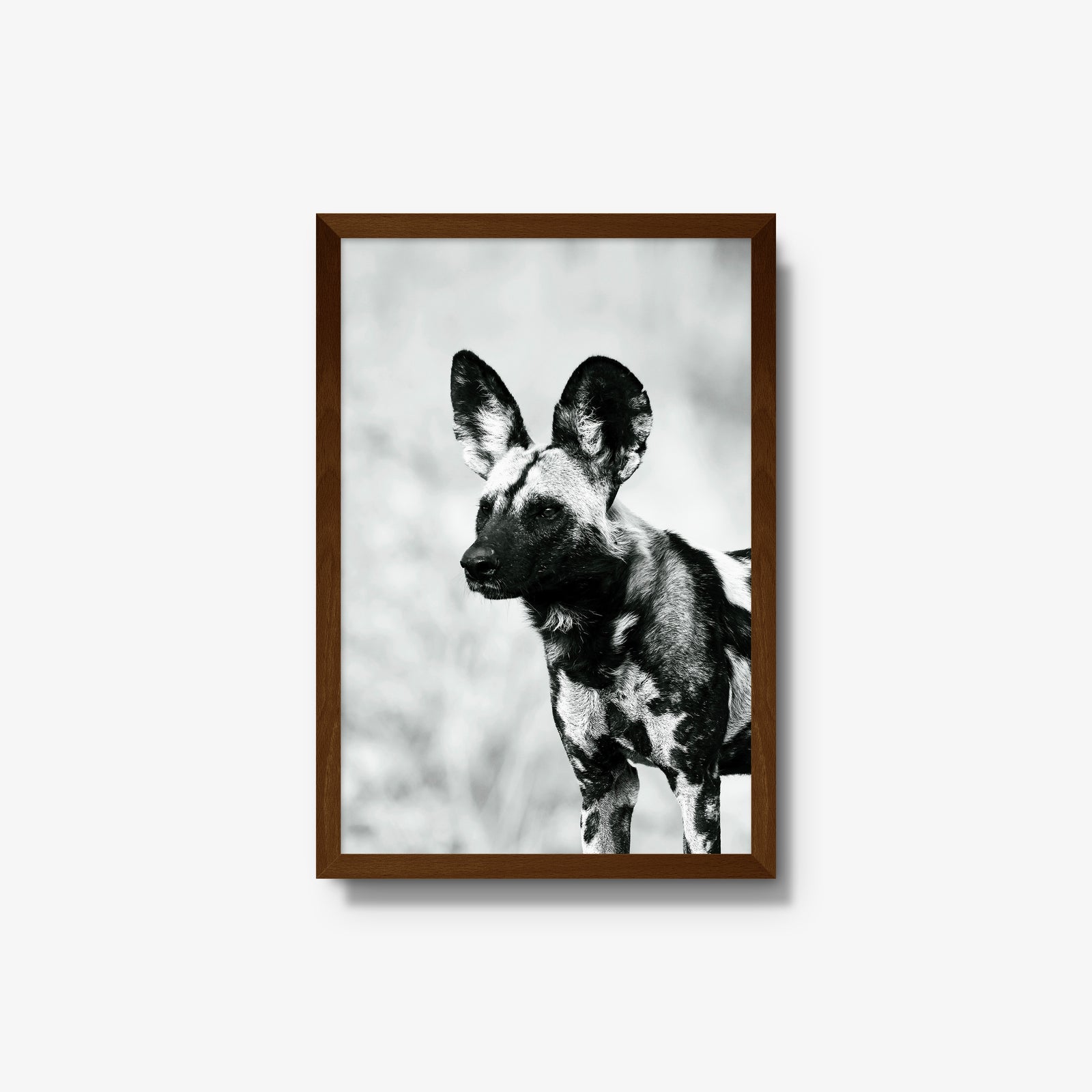 A Painted Dog