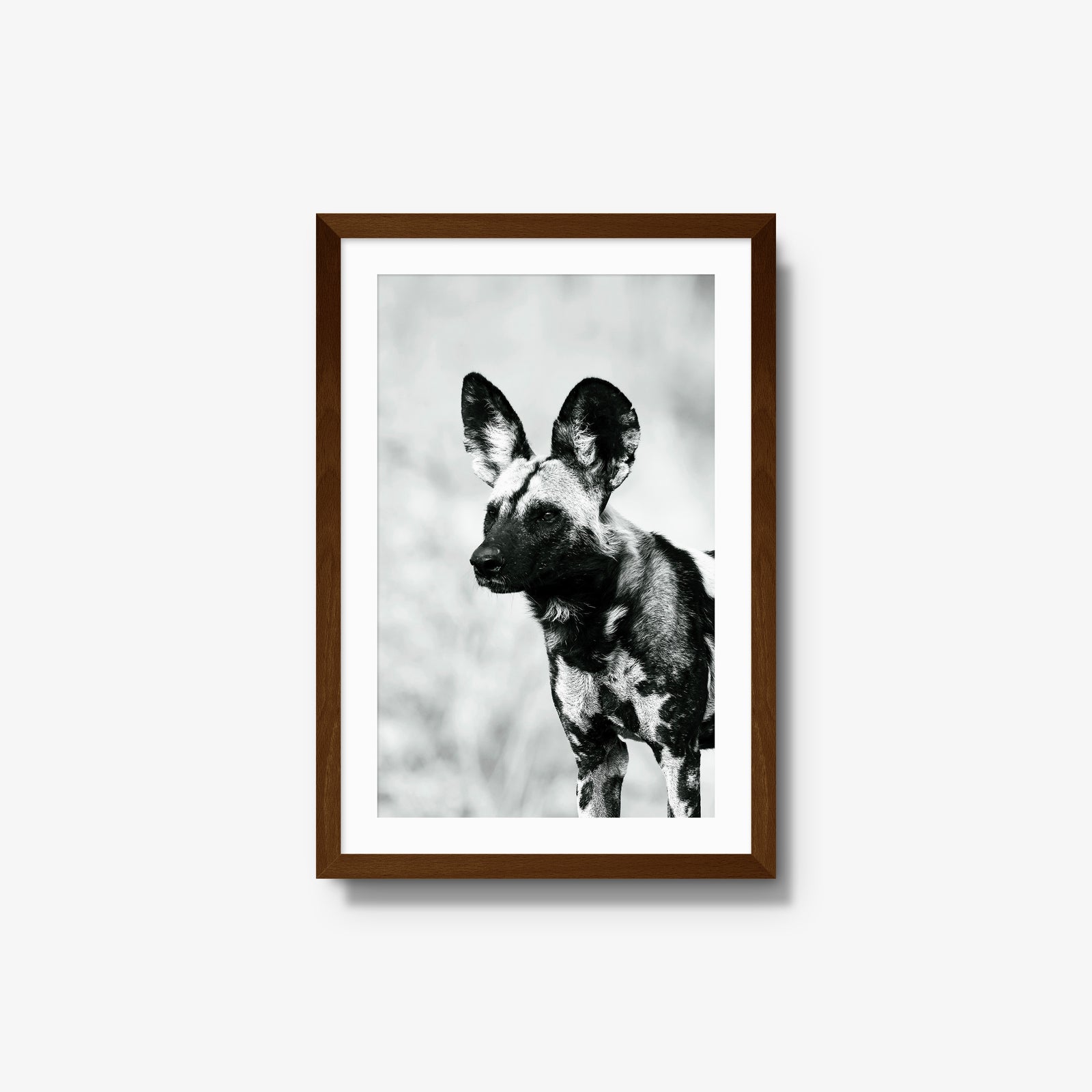 A Painted Dog