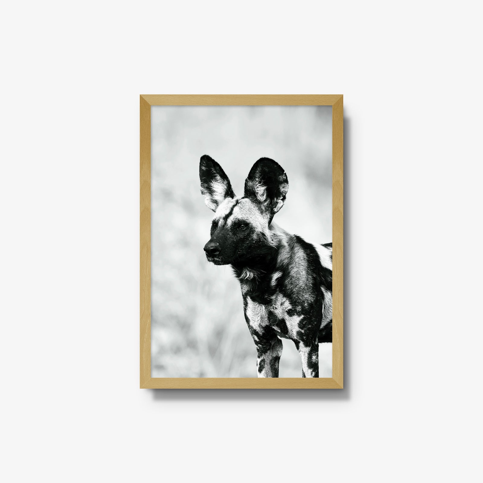 A Painted Dog