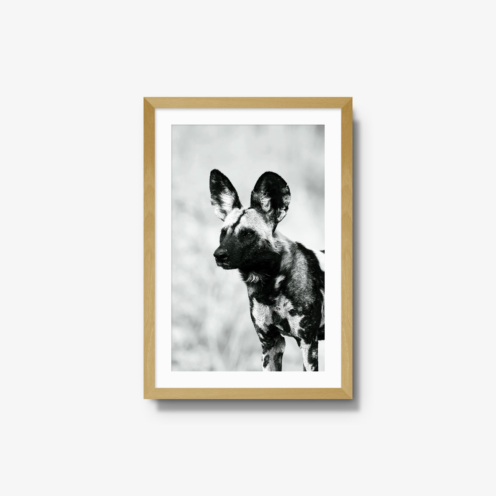 A Painted Dog