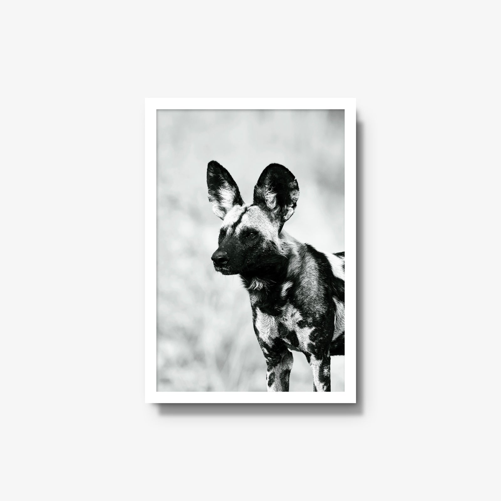 A Painted Dog