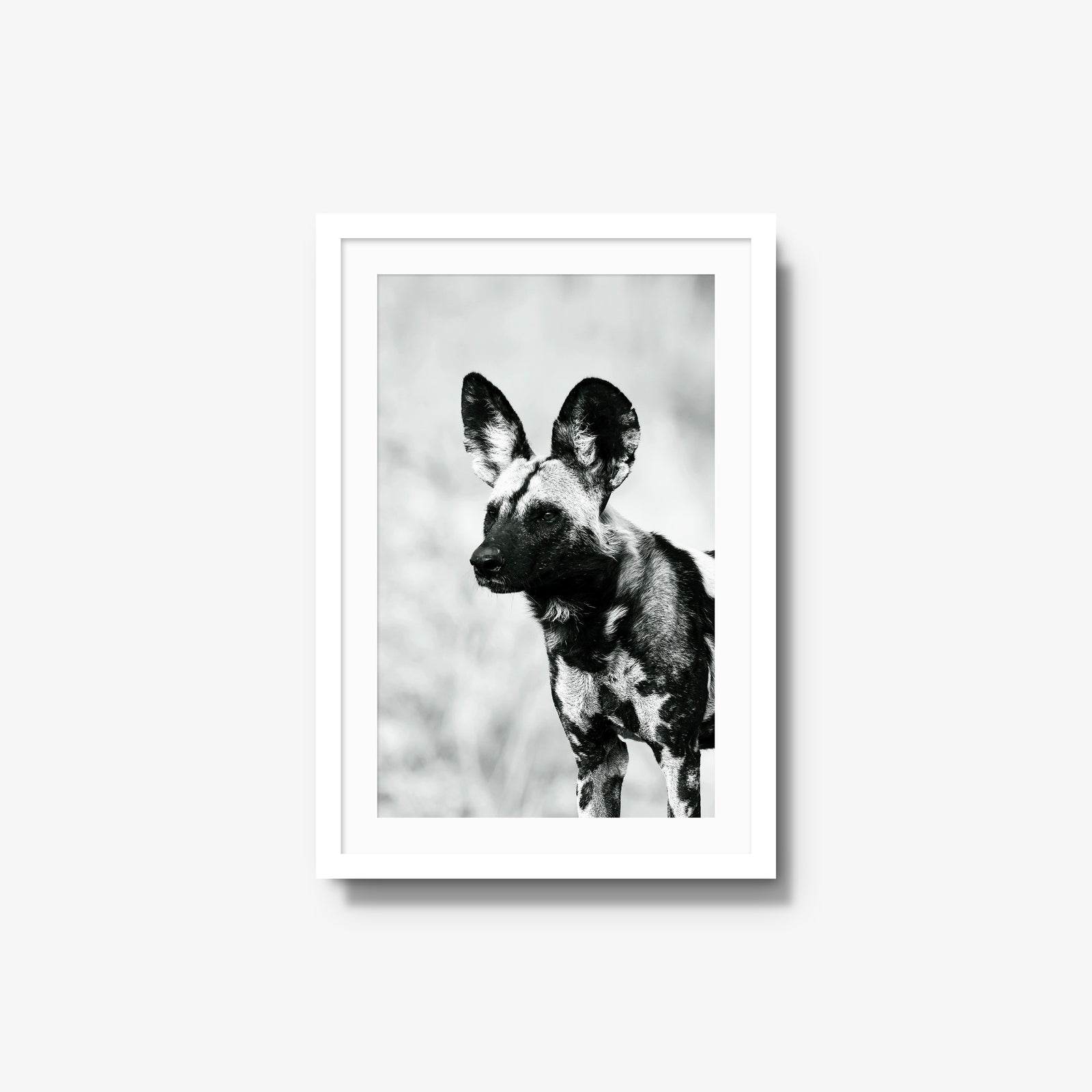 A Painted Dog