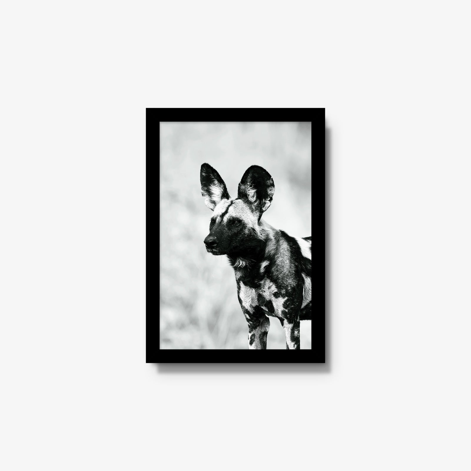 A Painted Dog