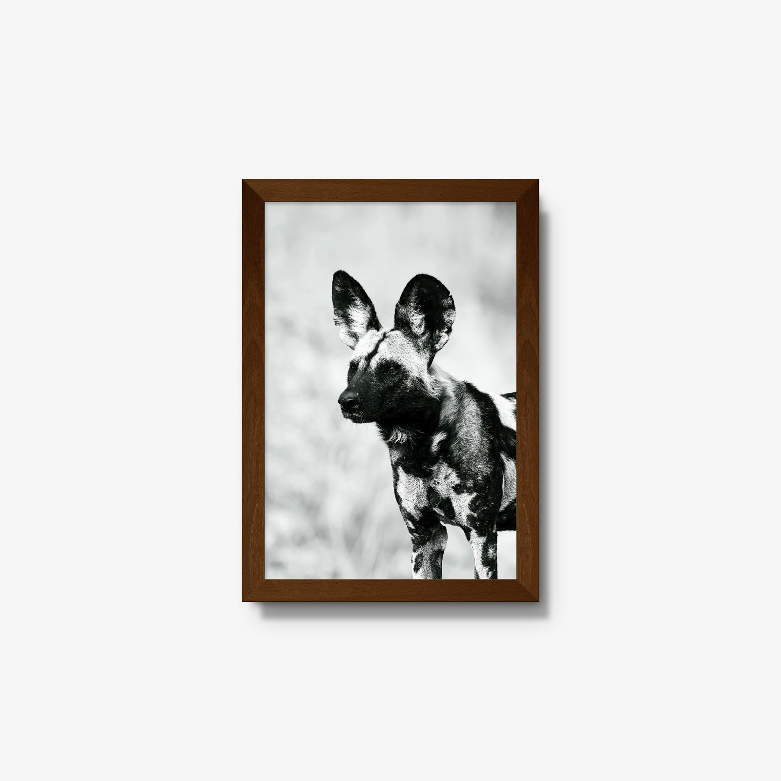 A Painted Dog