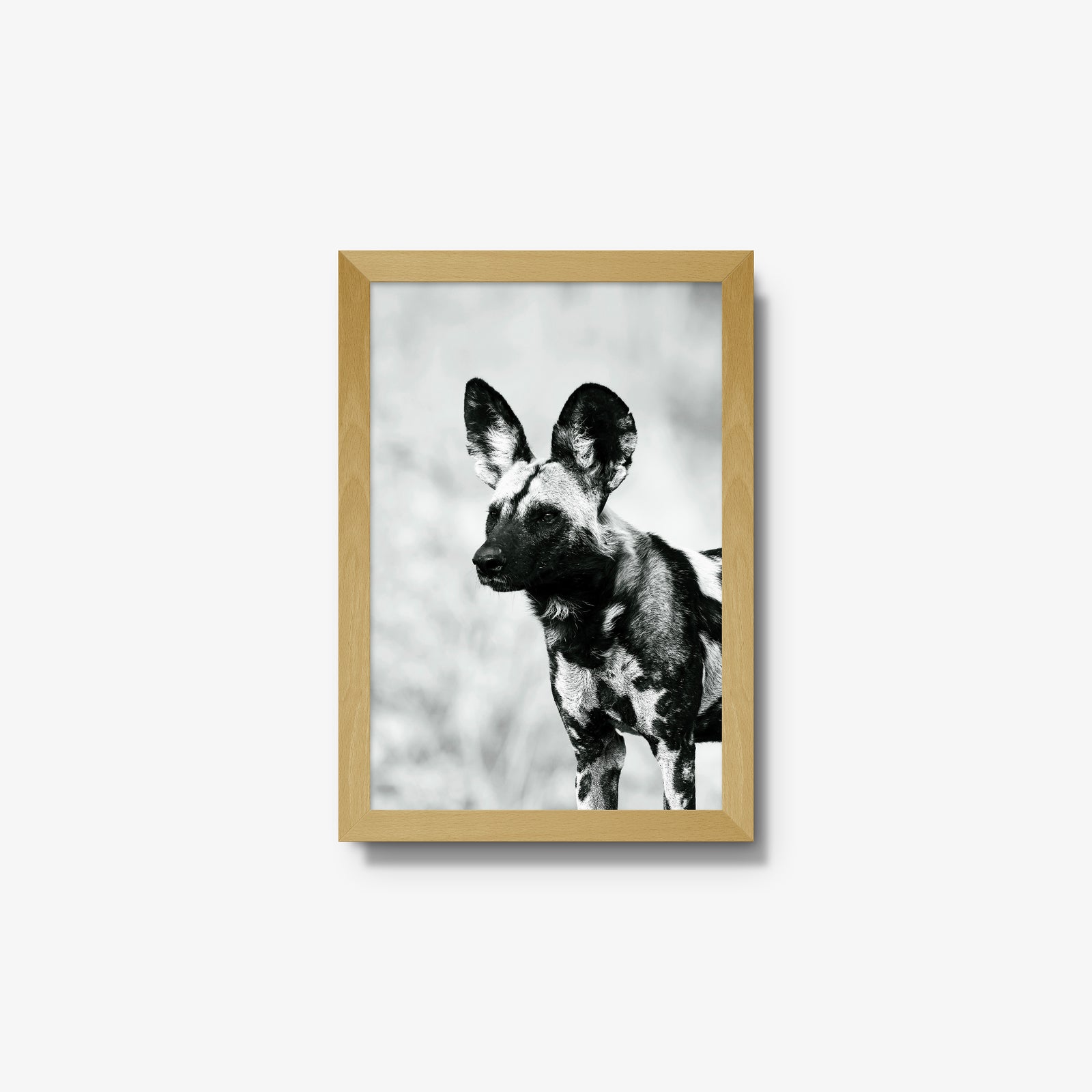 A Painted Dog