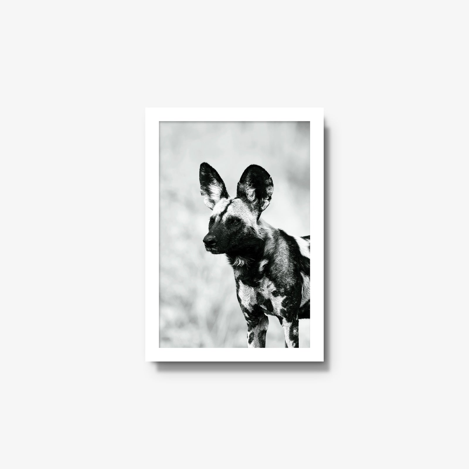 A Painted Dog