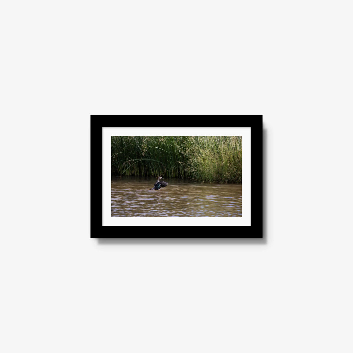 Wing Over Still Water — mini / black / mat