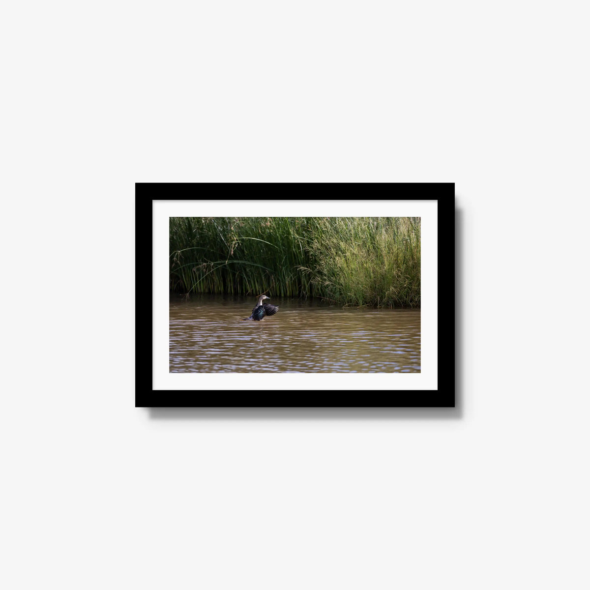 Wing Over Still Water — small / black / mat
