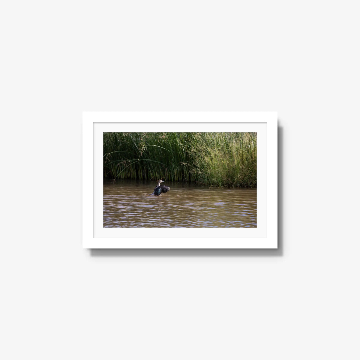 Wing Over Still Water — small / white / mat