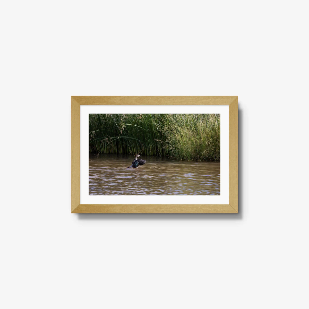 Wing Over Still Water — small / natural / mat