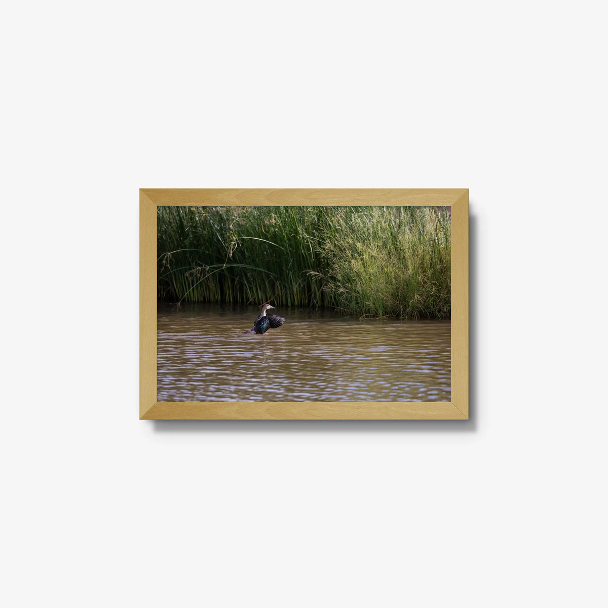 Wing Over Still Water — small / natural / full