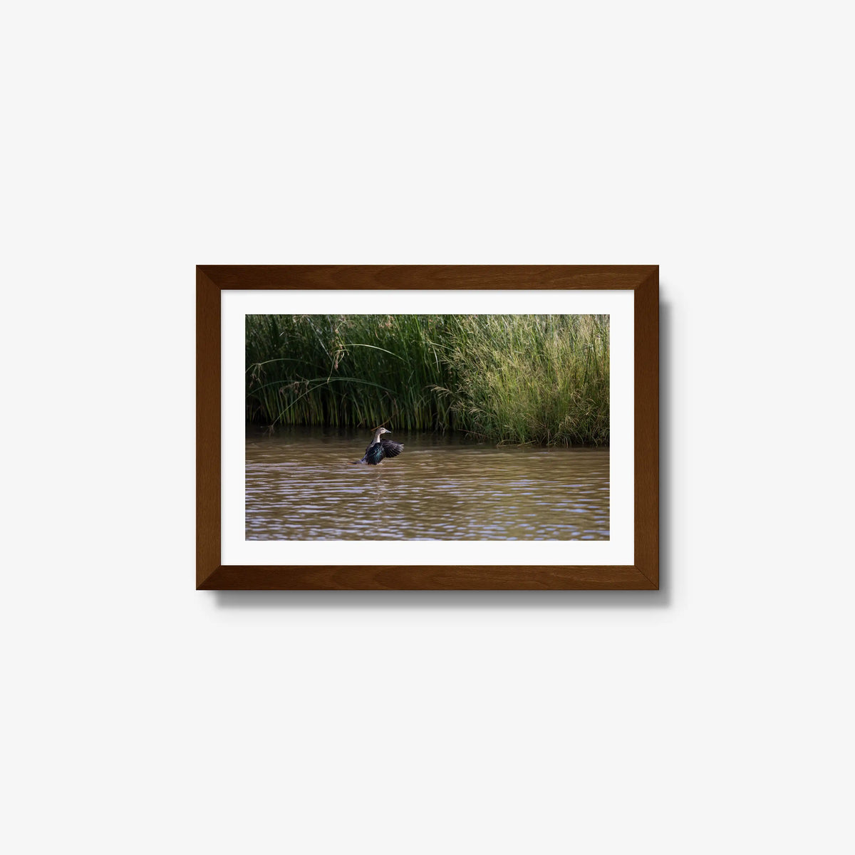 Wing Over Still Water — small / brown / mat