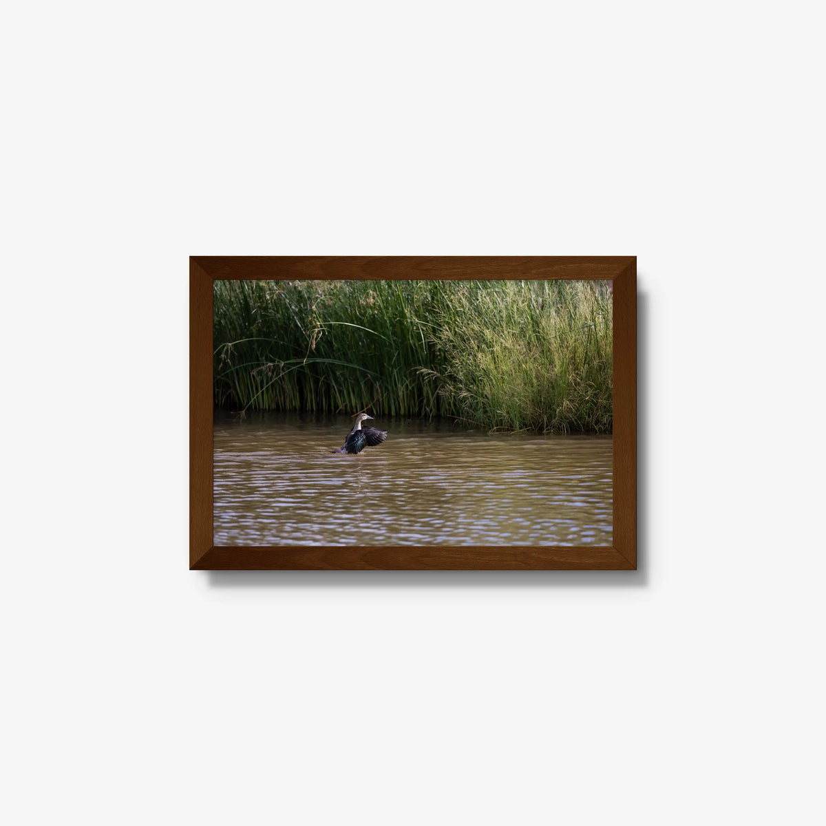 Wing Over Still Water — small / brown / full